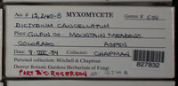 Image Associated With the Occurence